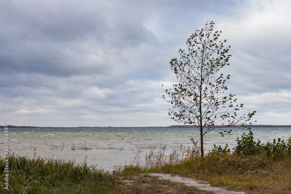 Lake in windy and cloudy weather. Autumn