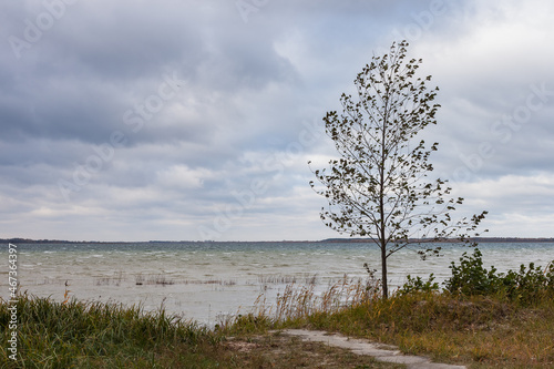 Lake in windy and cloudy weather. Autumn