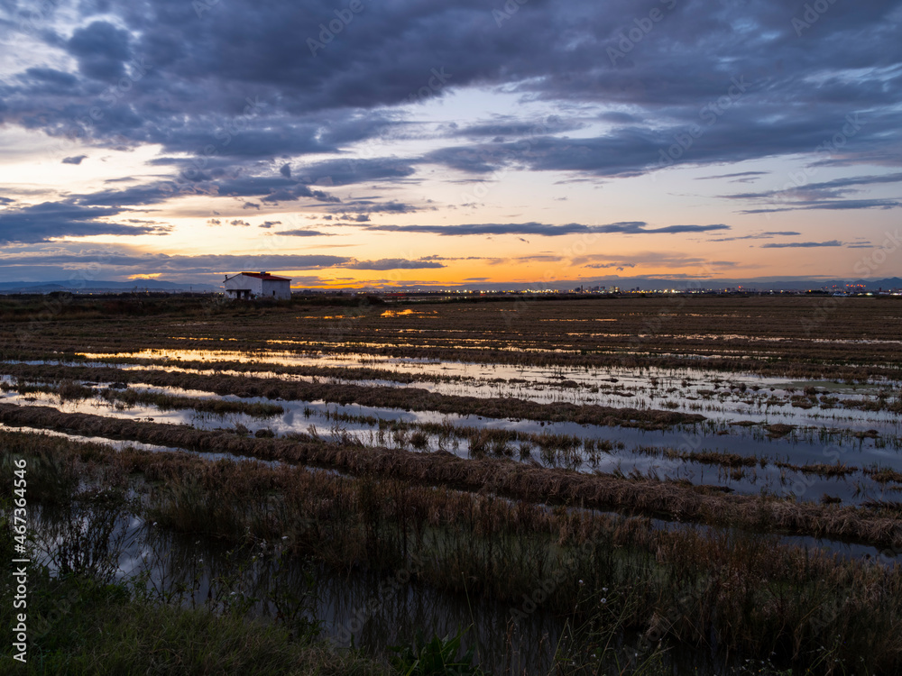 Obraz premium Sunset around the Albufera of Valencia (Spain)