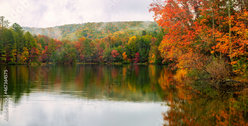 autumn in the forest