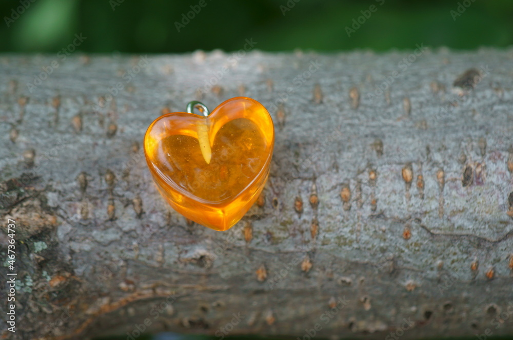 Fototapeta premium An orange heart on a tree branch. Symbol.
