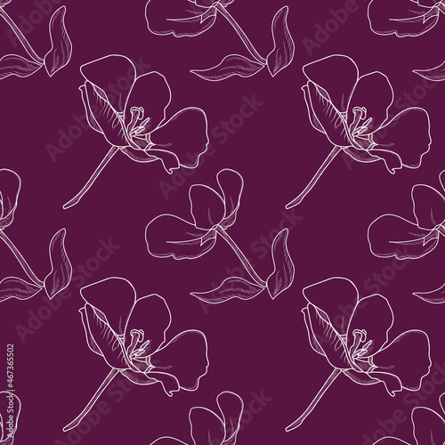Vector Tulip Black White Line Pattern Design Textile Paper Advertising. 
