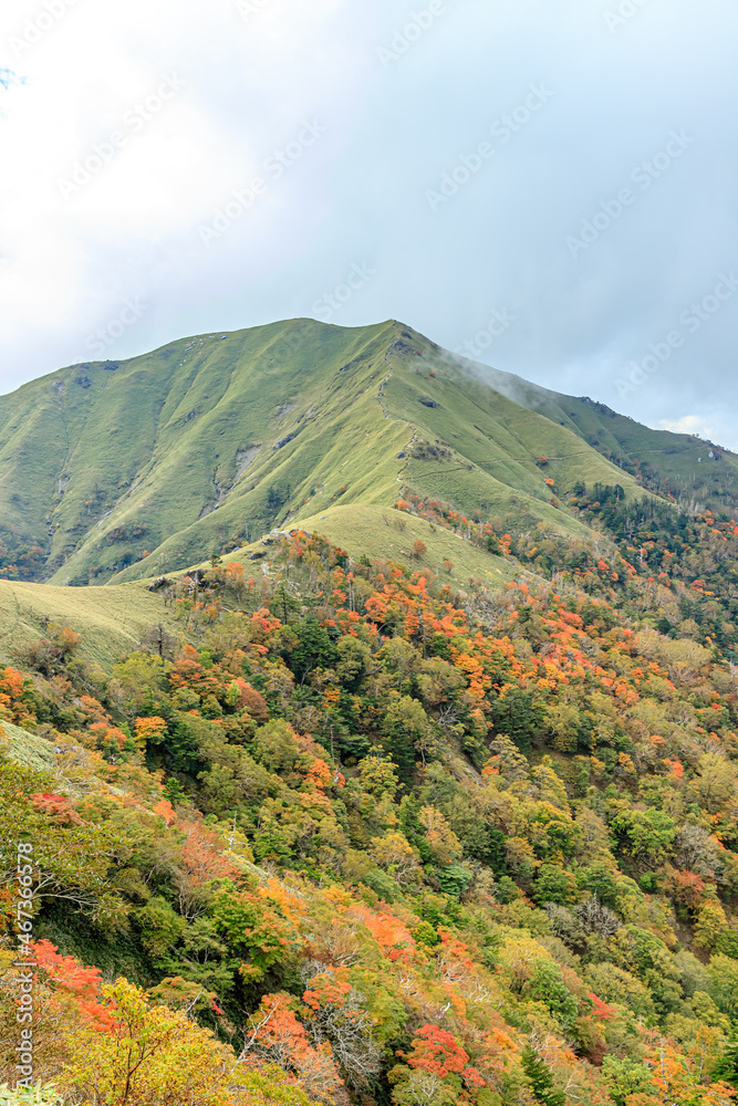 秋の剣山から見た次郎笈 徳島県三好市 Mt.Jirogyu seen from Mt. Tsurugi in autumn. Tokushima-ken Miyoshi city 秋の剣山から見た次郎笈 徳島県三好市 Mt.Jirogyu seen from Mt. Tsurugi in autumn. Tokushima-ken Miyoshi city