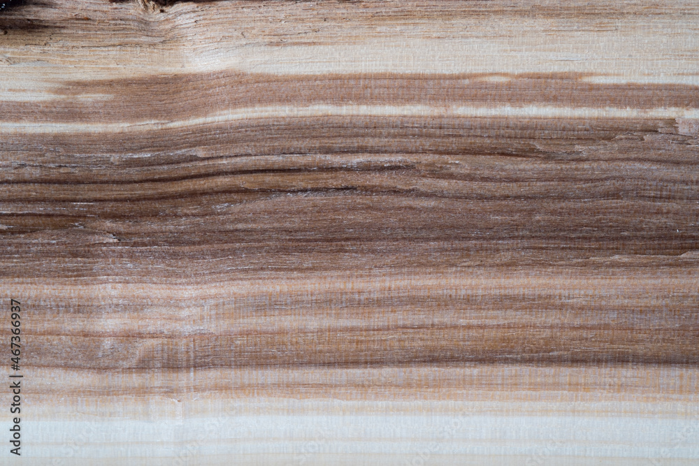 Cross section of natural wood. Split log wooden texture photo with light and darker brown patches. Close up top view. Cross section of natural wood. Split log wooden texture photo with light and darker brown patches. Close up top view.