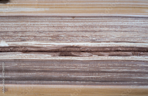 Cross section of natural wood. Split log wooden texture photo with light and darker brown patches. Close up top view.