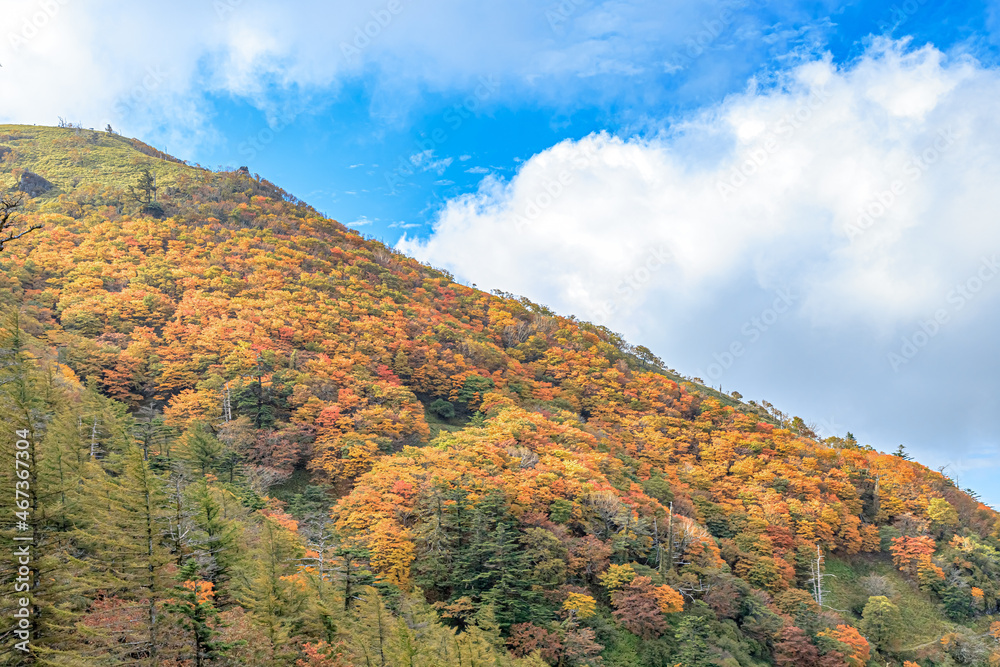 秋の剣山 徳島県三好市 Mt. Tsurugi in autumn. Tokushima-ken Miyoshi city 秋の剣山 徳島県三好市 Mt. Tsurugi in autumn. Tokushima-ken Miyoshi city