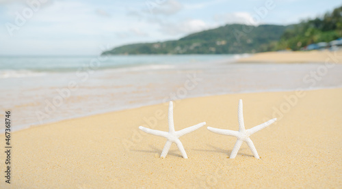 starfish on the beach Soft sunshine day