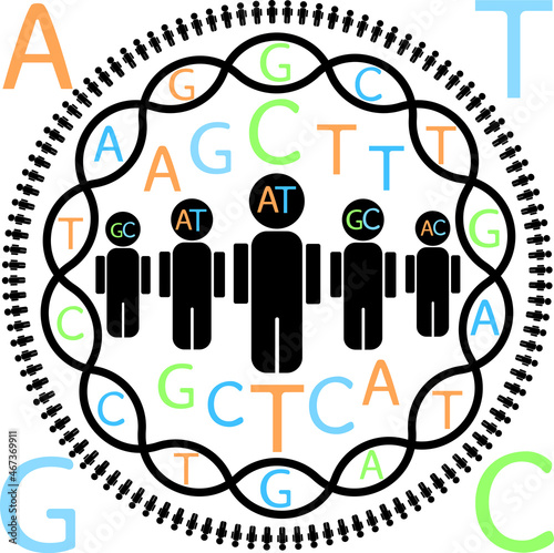 Visual representation of genetic studies in human populations