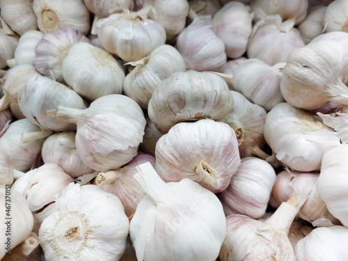 Garlic on market. Harvest concept. Organic vegetables.