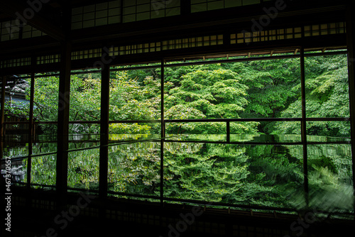 window in the woods