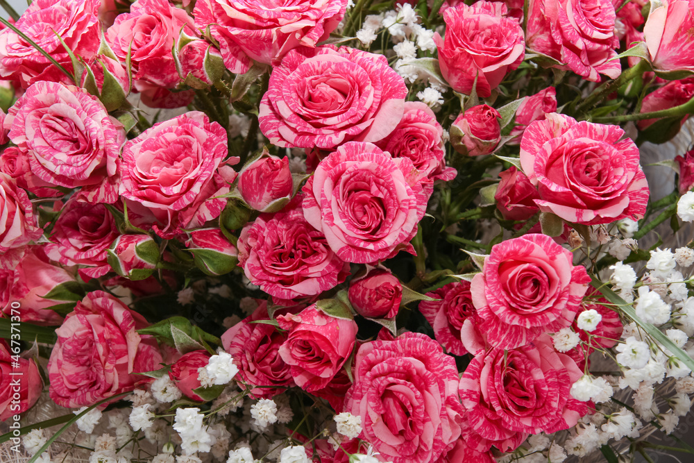 bouquet of pink roses background