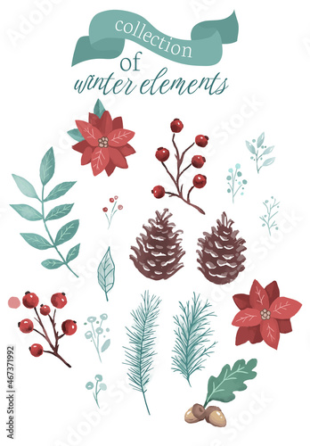 collection of christmas watercolour flowers and branches