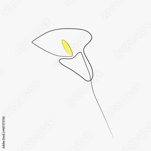 Billede på lærred Modern abstract calla flower one line art.