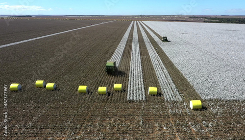 Aerial view of tractors harvesting cotton in the field in Goias, Brazil