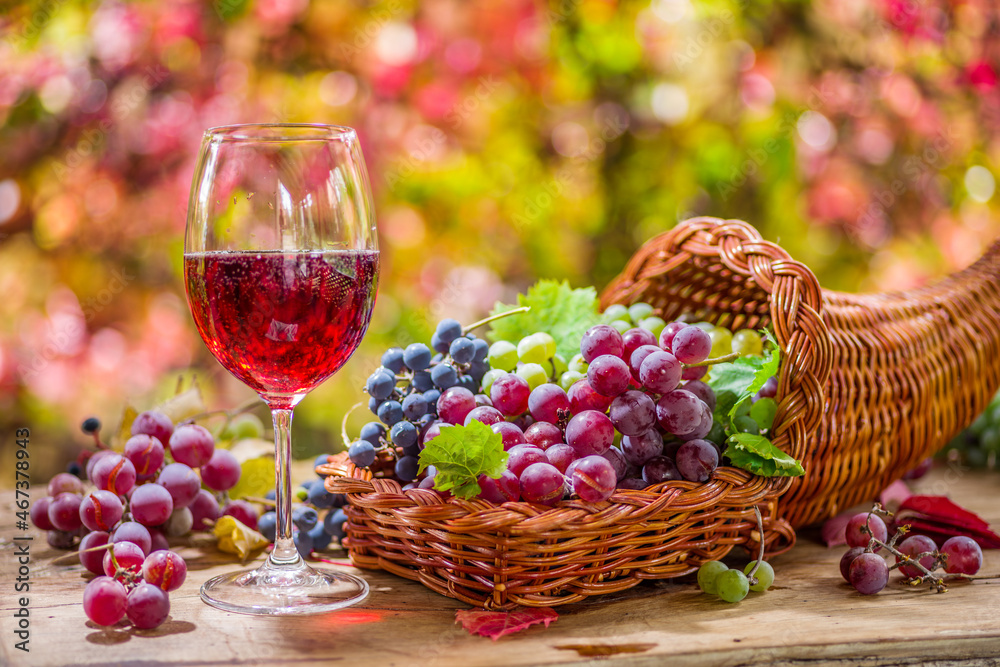Autumn still life with ripe different grape varieties.