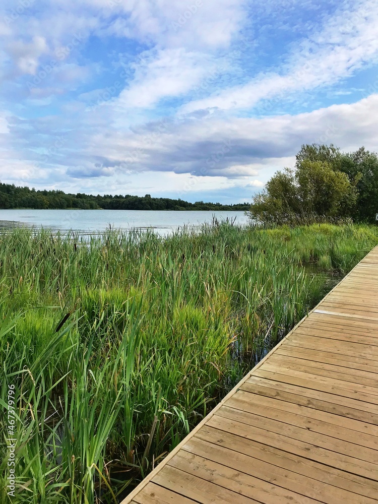 Naklejka premium wooden bridge over the lake