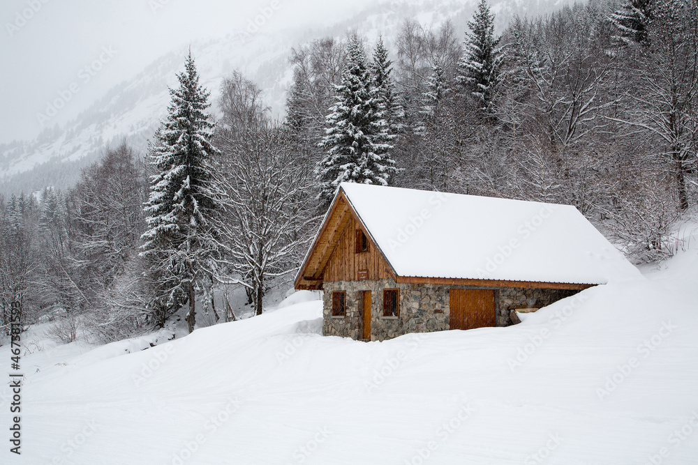 Chalet in winter