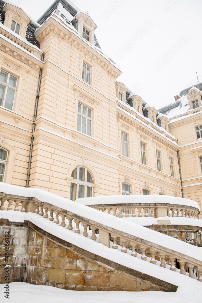 pototsky palace architecture covered with snow