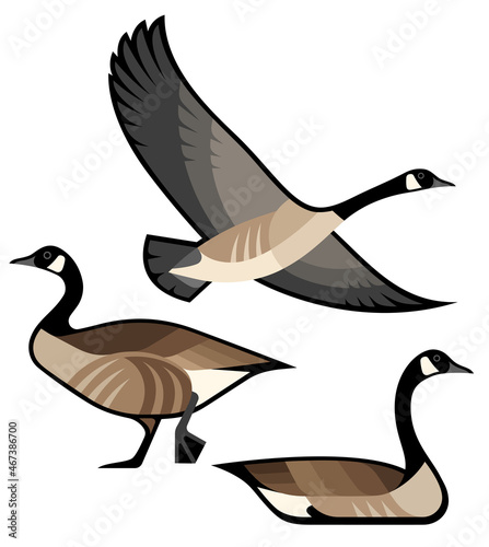 Stylized Birds - Canada Goose