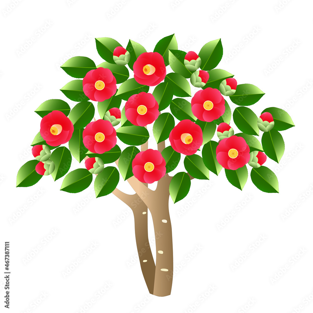赤い花がいっぱいに咲いた椿の木 Stock Vector Adobe Stock