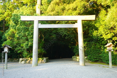Ise Jingu Shrine Main Sanctuary Path and Torii Gate in Mie, Japan - 日本 三重県 伊勢神宮 外宮 参道 鳥居	 photo