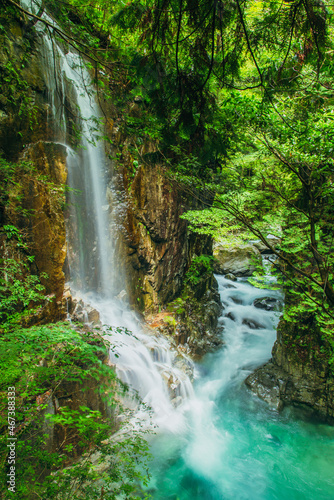 Fototapeta Naklejka Na Ścianę i Meble -  waterfall in the forest
