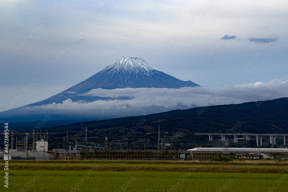 Obraz premium 夕方の富士山