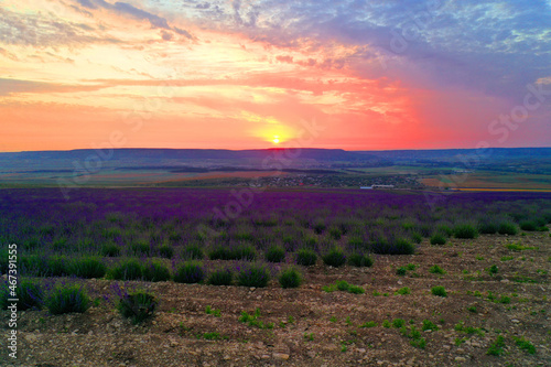 Aerial view of the sunset over the lavender field