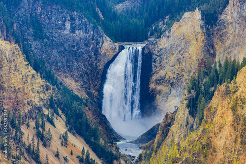 Fall colors at Yellowstone National Park, Idaho, Wyoming, Bison, Geysers, Mountains, Grand Tetons