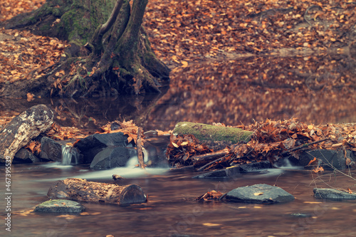 Fototapeta Naklejka Na Ścianę i Meble -  River in the woods in autumn
