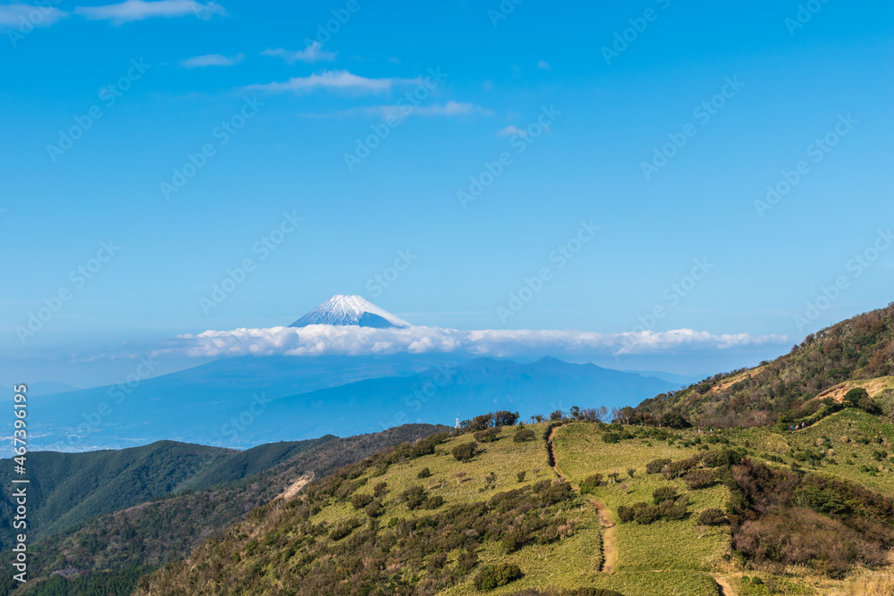 Naklejka premium 伊豆半島西伊豆スカイライン（伊豆山稜線歩道、達磨山周辺）から見える富士山
