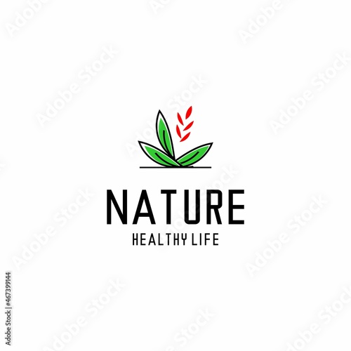 herbal logo illustration vector, green leaf vector