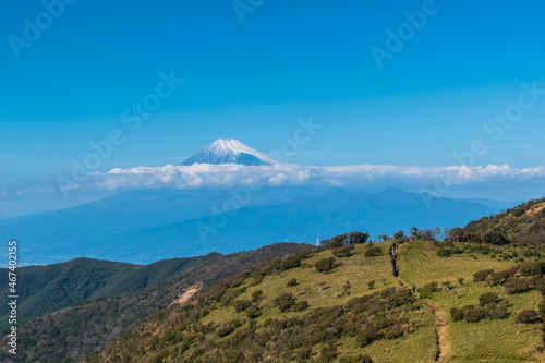 伊豆半島西伊豆スカイライン（伊豆山稜線歩道、達磨山周辺）から見える富士山