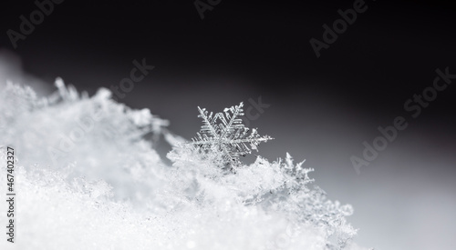 Snowflake on snow. Winter holidays and Christmas background 