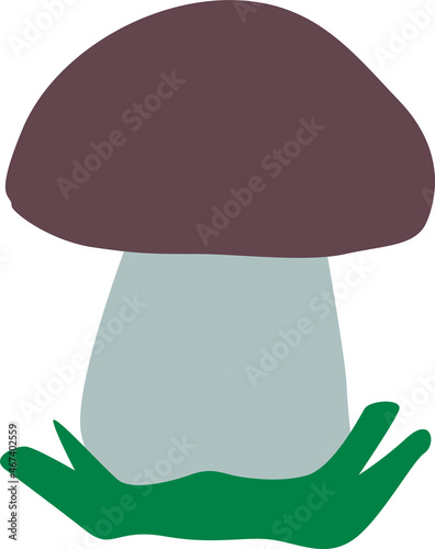 a beautiful edible mushroom