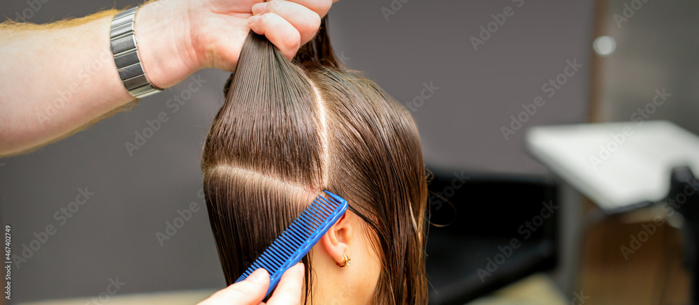 Fototapeta premium Male coiffeur divides women hair into sections with comb and hands in a beauty salon