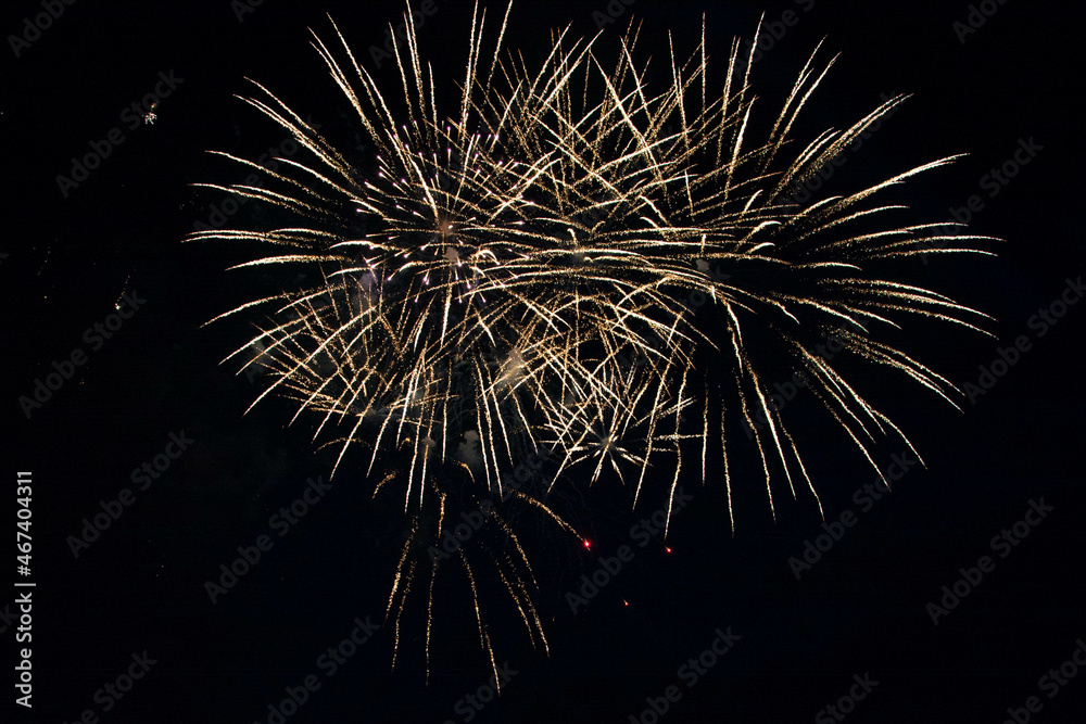 A delicate burst of fireworks in the night sky