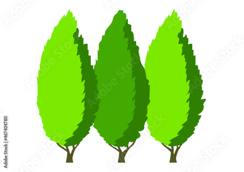 Hecke