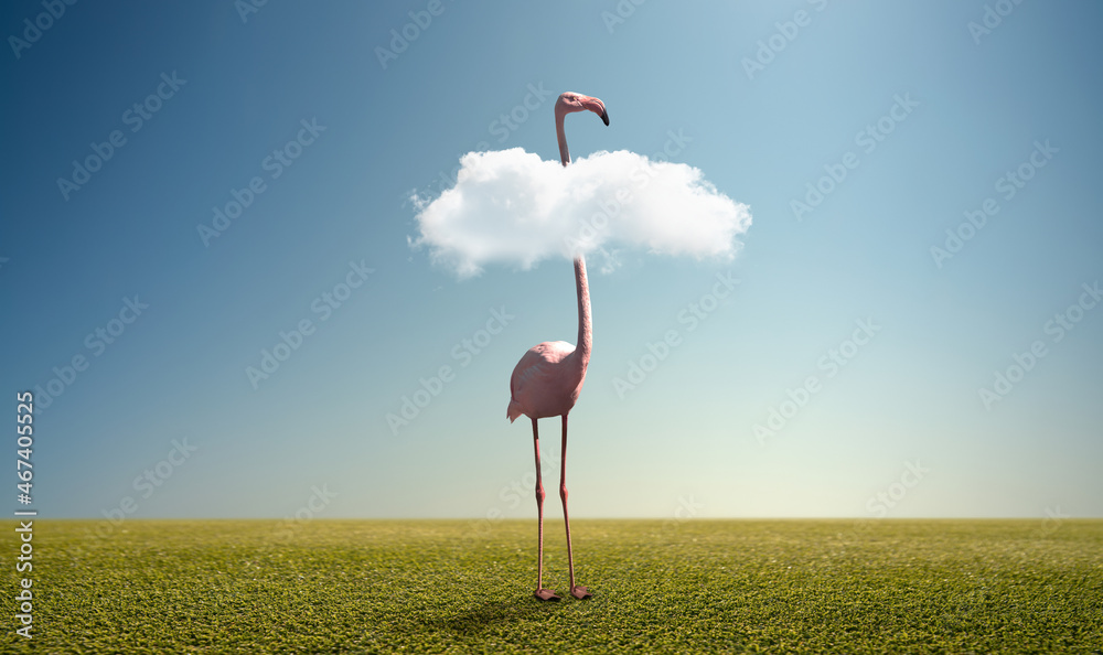 alone pink wild flamingo on green field alone pink wild flamingo on green field