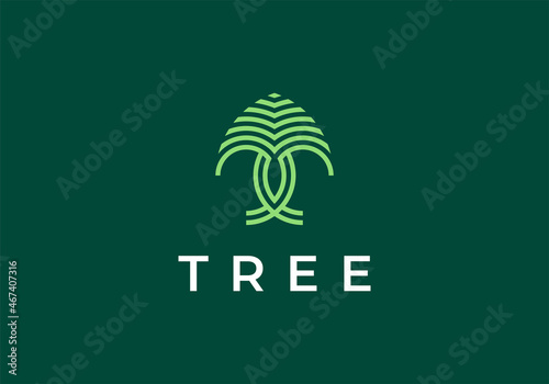 pine evergreen fir hemlock spruce conifer cedar coniferous cypress larch pinus tree forest hipster line art Logo design
