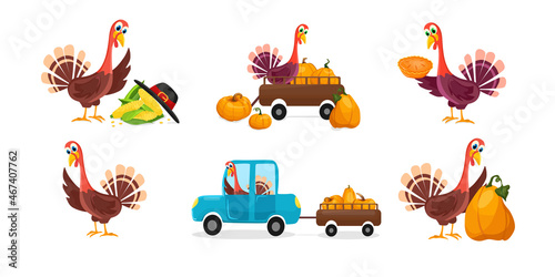Vector cartoon collection of turkeys next to corn  and pilgrim s hat  with pie and pumpkin  in the car and in the trailer. Thanksgiving day concept.