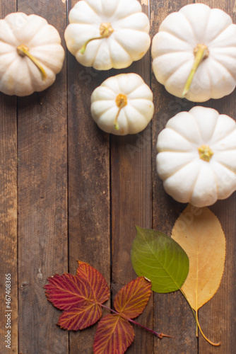 white small decorative pumpkins on a dark background. High quality photo
