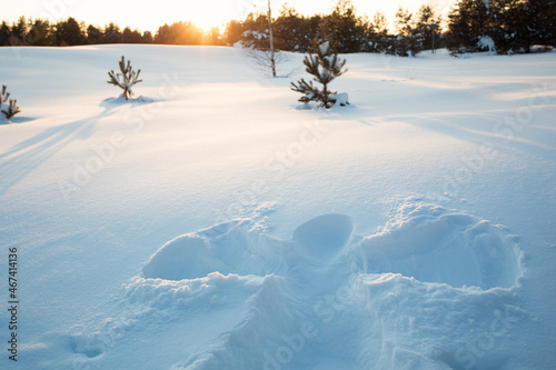 Christmas angel in snow. silhouette of man in snowdrift against background of winter forest landscape. photo