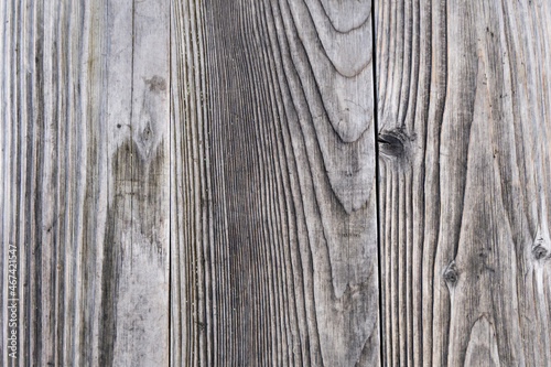 Grey wood planks texture background. Real wood grain backdrop with natural lines in the timber. Weathered flooring pattern as an abstract design structure.