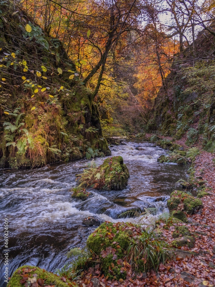 River Doon flowing through Ness Glen in Ayrshire River Doon flowing through Ness Glen in Ayrshire