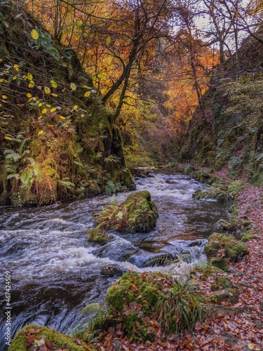 River Doon flowing through Ness Glen in Ayrshire 