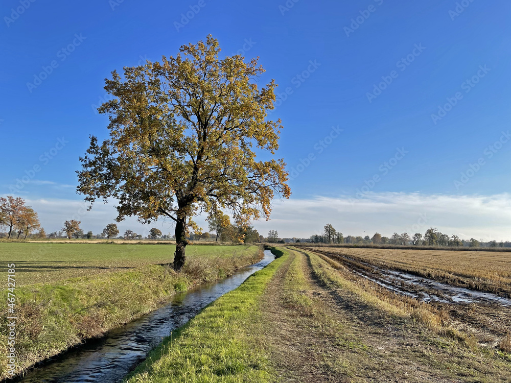 La campagna di Lombardia a Basiglio - Milano La campagna di Lombardia a Basiglio - Milano