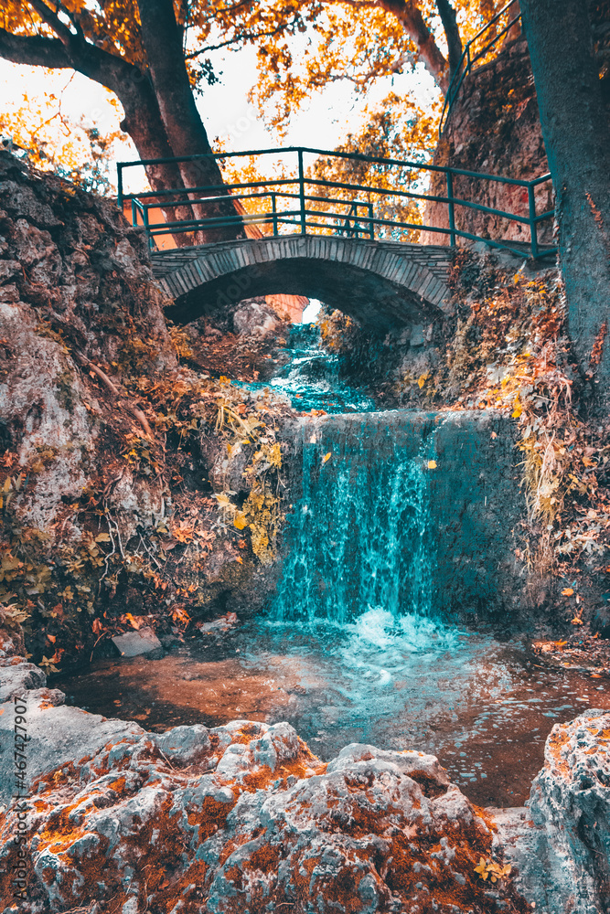 Fototapeta premium bridge over the river