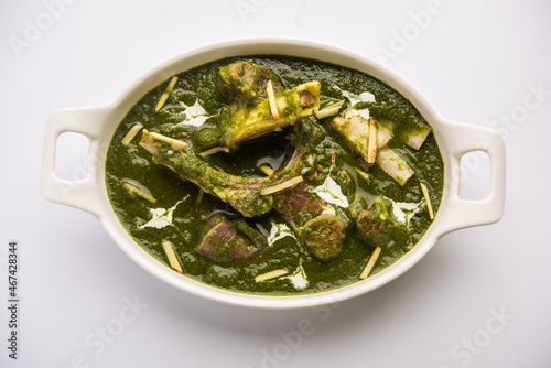 Palak gosht or spinach mutton curry photo