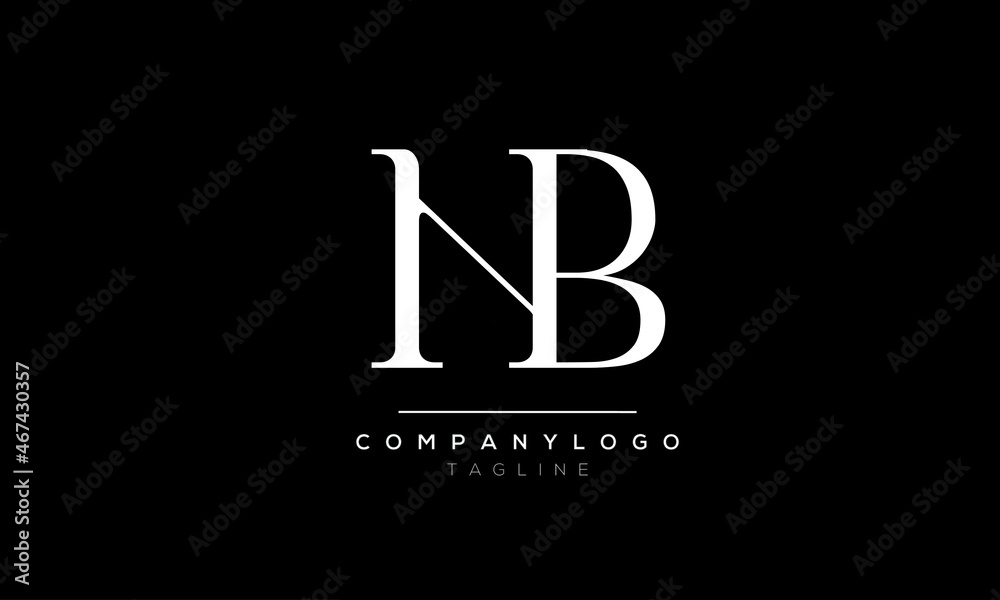 Abstract Letter Initial HB BH Vector Logo Design Template